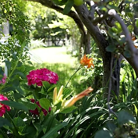 Le Rosier E Bed & Breakfast Saint-Vincent