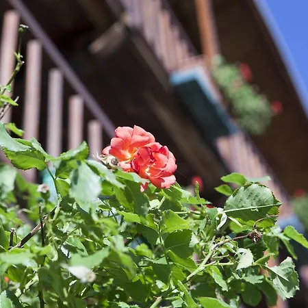 Le Rosier E Bed & Breakfast 3*