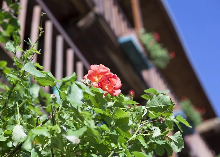 Le Rosier E Bed & Breakfast 3*